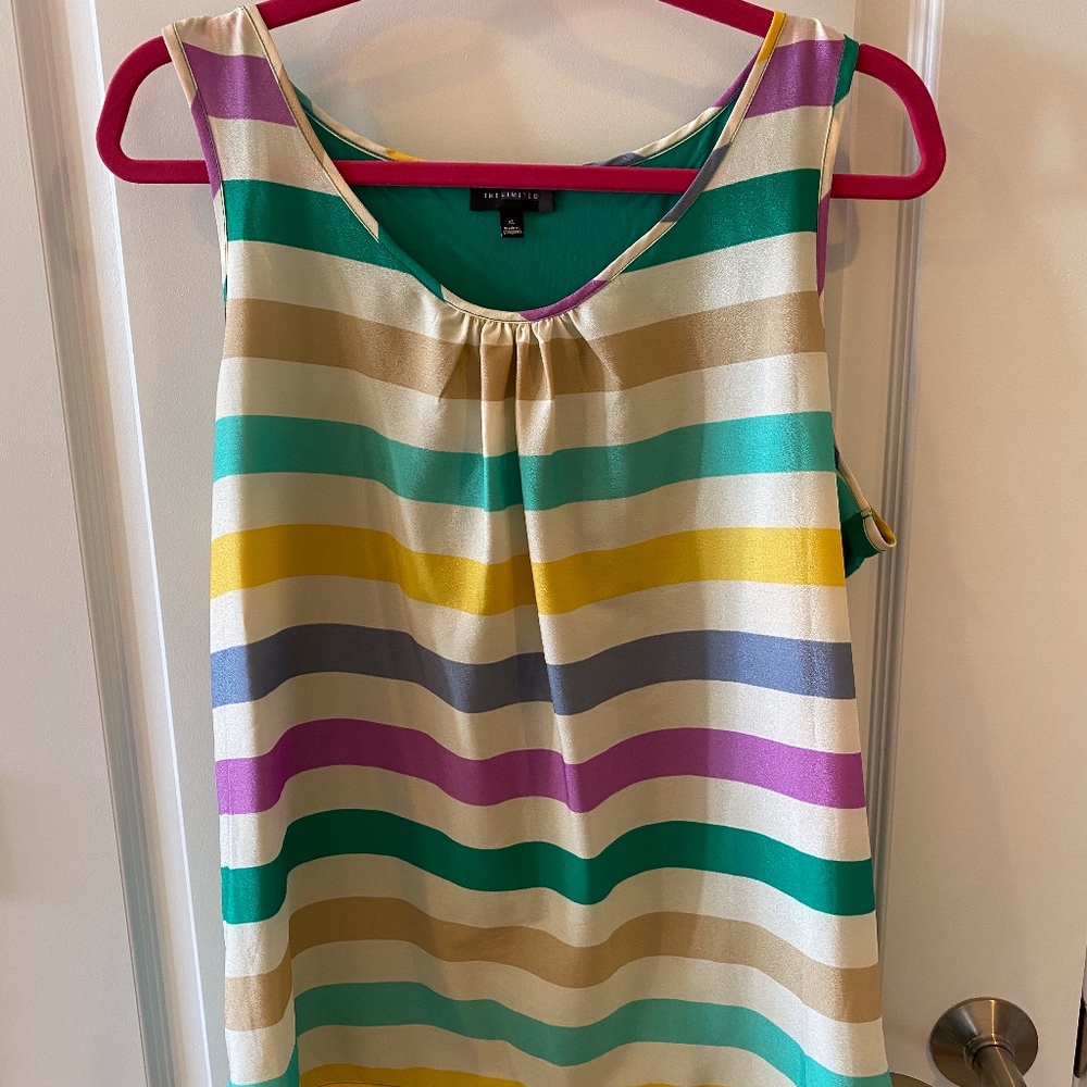 The Limited Multi Color Stripe Tank Top